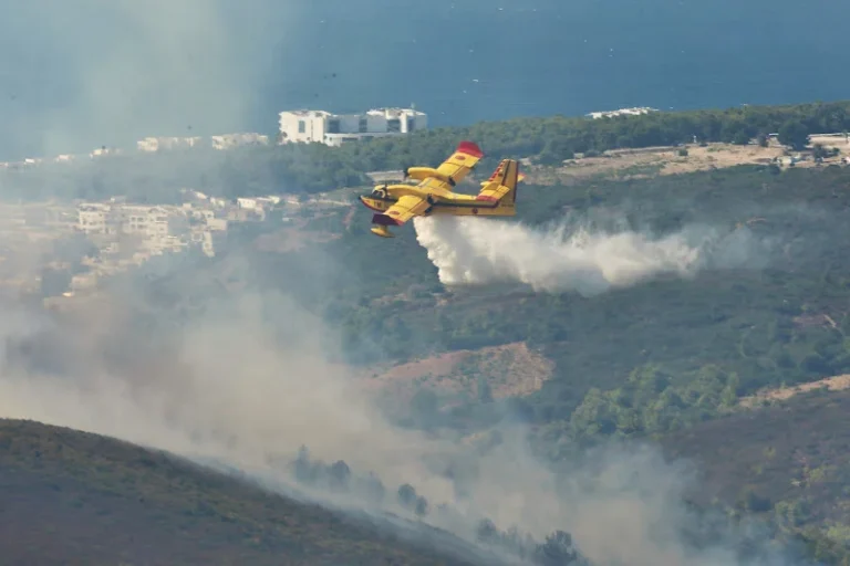 incendie-foret1