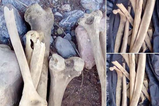 العثور على بقايا عظمية داخل ورش إعادة بناء مؤسسة تعليمية بالحوز يوقف الأشغال مؤقتًا