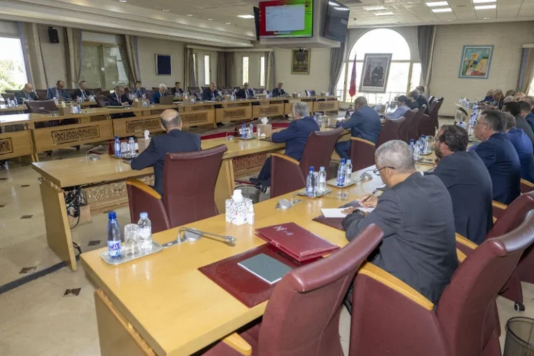 Abdelouafi-Laftit-tient-deux-reunions-avec-des-chefs-et-responsables-des-partis-politiques