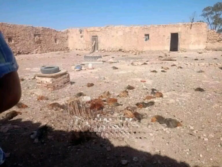 خسائر فادحة لمربي دواجن بالعروي إثر هجوم قطيع من الكلاب الضالة