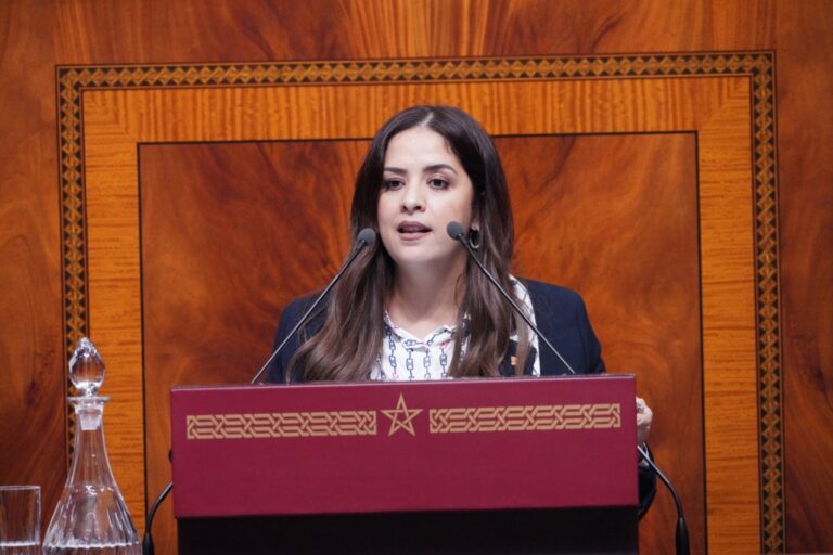الحركة الشعبية تزكي ريم شباط لرئاسة فريقها النيابي
