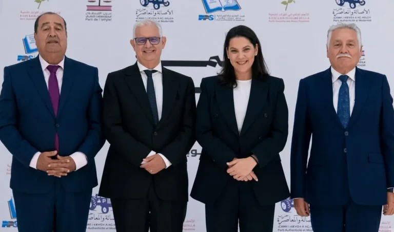 حكومة المنصوري.. توزيع 21 حقيبة وزارية بين أربعة أحزاب
