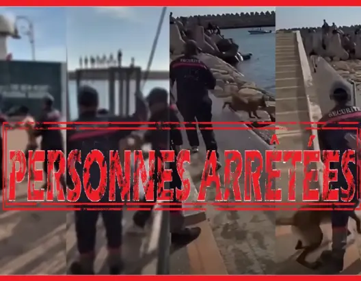 إحالة شخصين على النيابة العامة بأكادير للاشتباه في تحريض كلب على أطفال