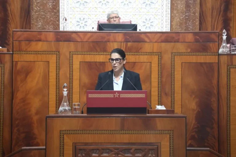 اتهامات متبادلة بـ”الاتجار في المخدرات” تثير توتراً في جلسة المصادقة على البرنامج الحكومي