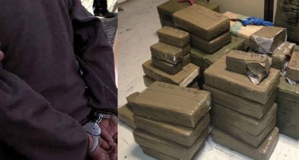 تنغير.. حجز 28 كيلوغراماً من الشيرا وتوقيف أربعة أشخاص ببومالن دادس