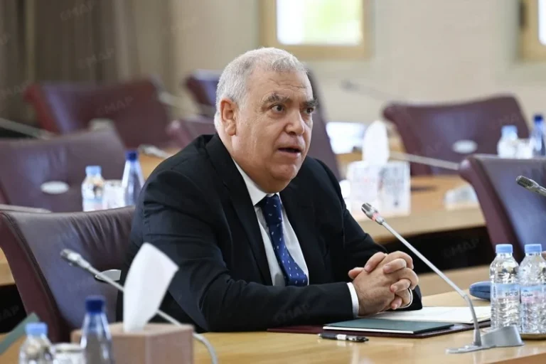 لفتيت يتباحث مع النقابات بشأن انتخابات ممثلي المأجورين ومجلس المستشارين