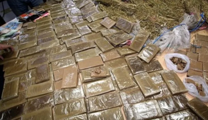 حجز 50 كيلوغرامًا من مخدر الشيرا وتوقيف مشتبه فيه في أولاد عرفة بإقليم تارودانت